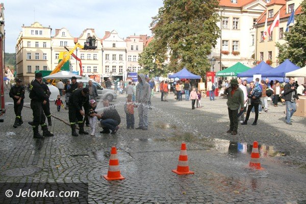 segregacja-i-recykling-odpadow-przyszoscia-swiata-foto-42408