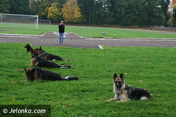 cztery-apy-czyli-edukacyjny-festyn-z-pupilami-foto-42419