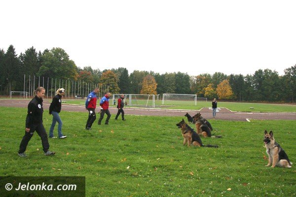 cztery-apy-czyli-edukacyjny-festyn-z-pupilami-foto-42419