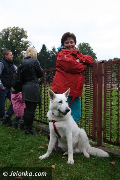 cztery-apy-czyli-edukacyjny-festyn-z-pupilami-foto-42419