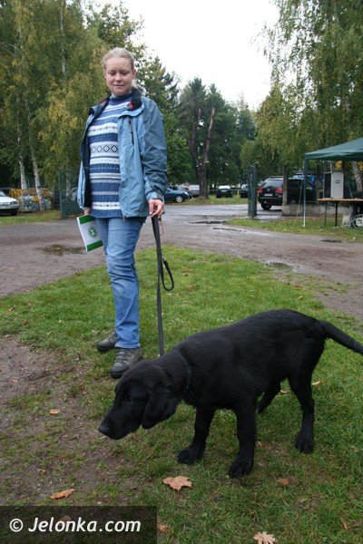 cztery-apy-czyli-edukacyjny-festyn-z-pupilami-foto-42419