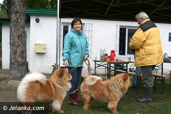 cztery-apy-czyli-edukacyjny-festyn-z-pupilami-foto-42419