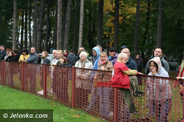 cztery-apy-czyli-edukacyjny-festyn-z-pupilami-foto-42419