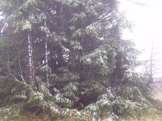 w-gorach-sypneo-biaym-puchem-foto-42428
