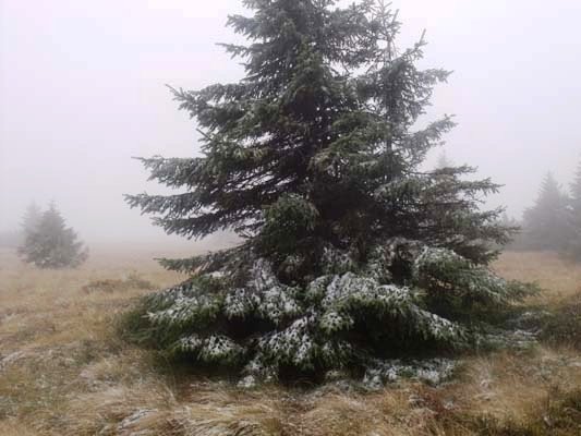 w-gorach-sypneo-biaym-puchem-foto-42428