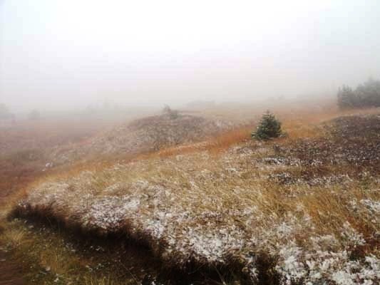 w-gorach-sypneo-biaym-puchem-foto-42428