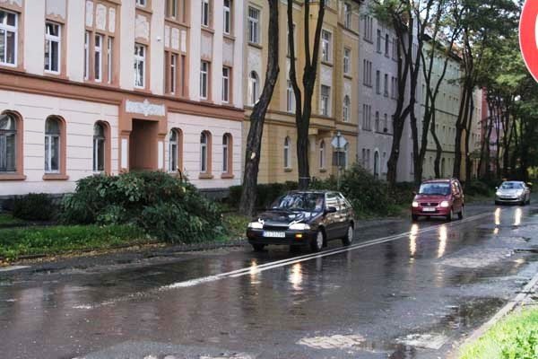 usuwaja-niebezpieczne-konary-i-drzewa-foto-42449