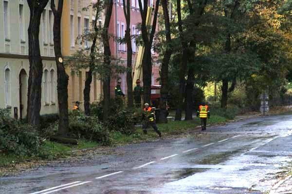 usuwaja-niebezpieczne-konary-i-drzewa-foto-42449