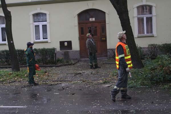 usuwaja-niebezpieczne-konary-i-drzewa-foto-42449