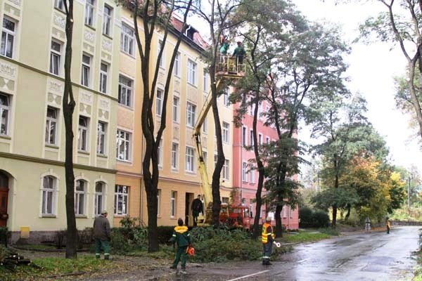 usuwaja-niebezpieczne-konary-i-drzewa-foto-42449