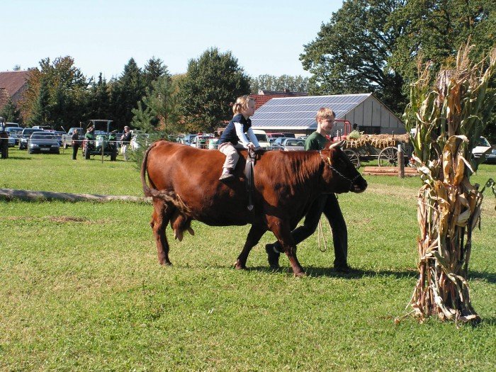 w-horce-bya-wielka-orka-foto-42450