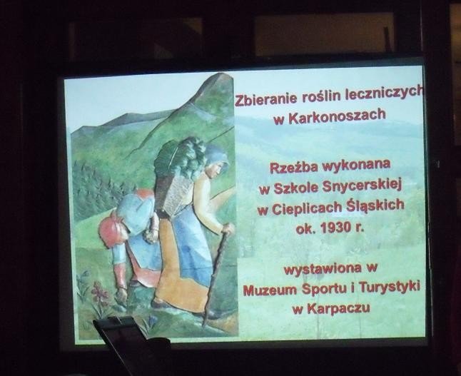 polsko-czeskie-spotkanie-turystyczne-na-przeeczy-karkonoskiej-42461