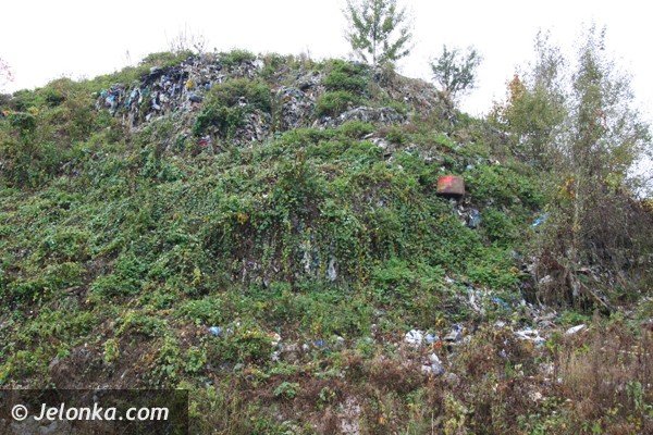 wysypisko-smieci-w-siedlecinie-porosnie-trawa-jezyny-i-leszczyna-foto-42478