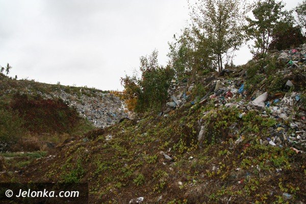 wysypisko-smieci-w-siedlecinie-porosnie-trawa-jezyny-i-leszczyna-foto-42478