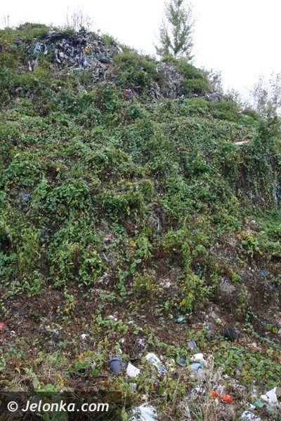 wysypisko-smieci-w-siedlecinie-porosnie-trawa-jezyny-i-leszczyna-foto-42478