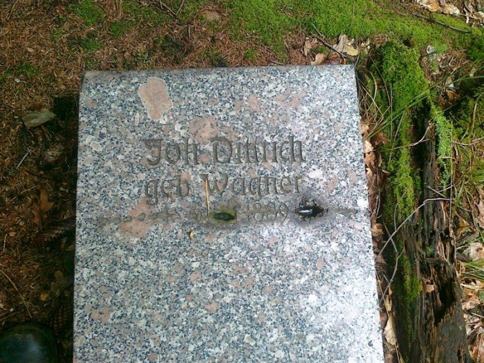 memento-uporzadkowao-zapomniana-nekropolie-w-piechowicach-foto-42502