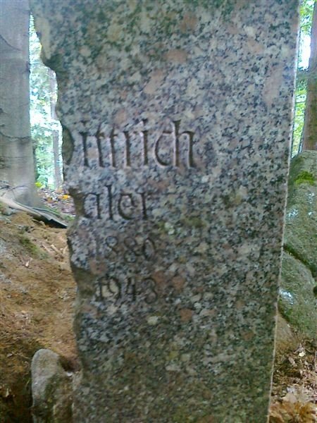 memento-uporzadkowao-zapomniana-nekropolie-w-piechowicach-foto-42502