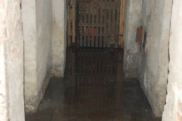 mieszkancy-barlickiego-5-ta-wilgoc-zrujnuje-nam-zdrowie-foto-42534