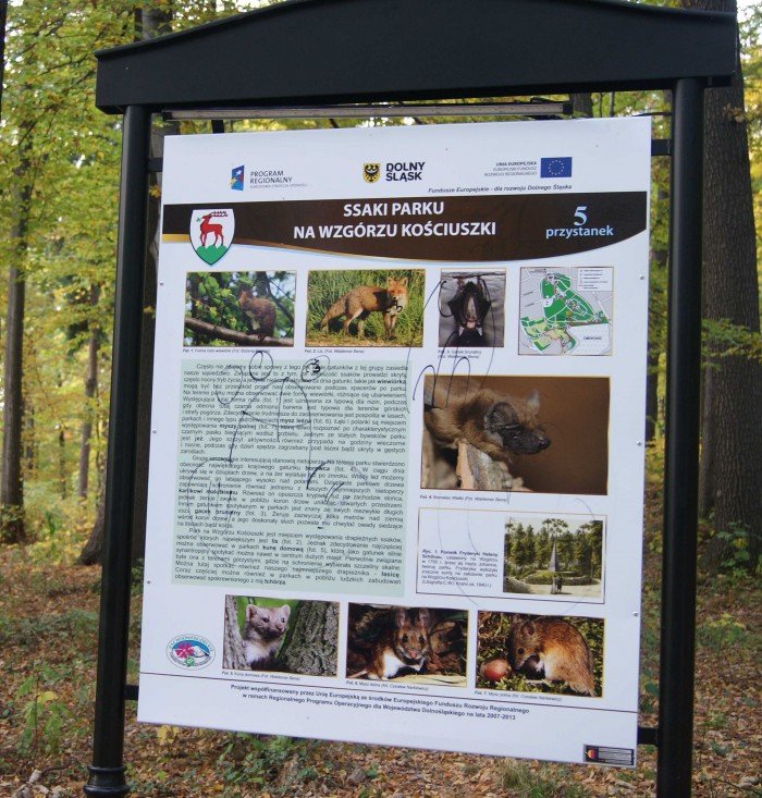 wandale-na-wzgorzu-kosciuszki-foto-42564