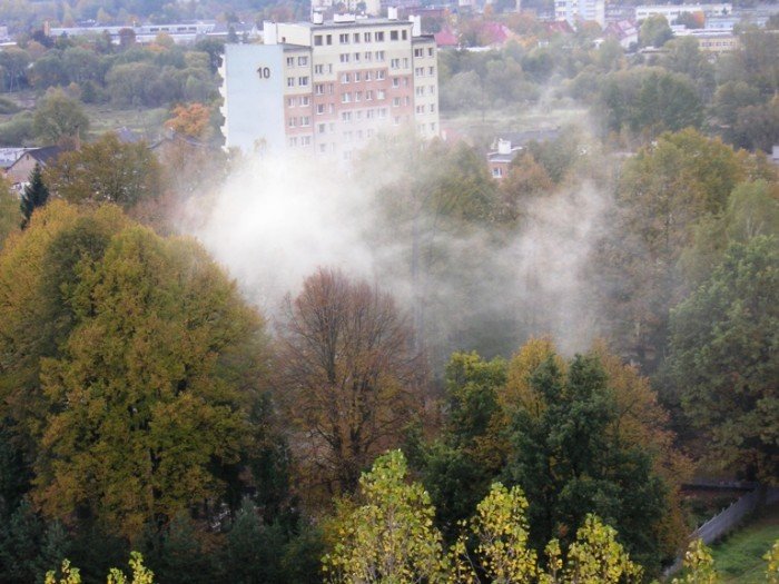 na-terenie-parafii-sw-wojciecha-kolejny-raz-ktos-pali-liscie-42626