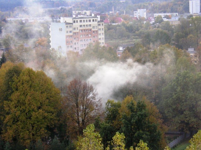 na-terenie-parafii-sw-wojciecha-kolejny-raz-ktos-pali-liscie-42626