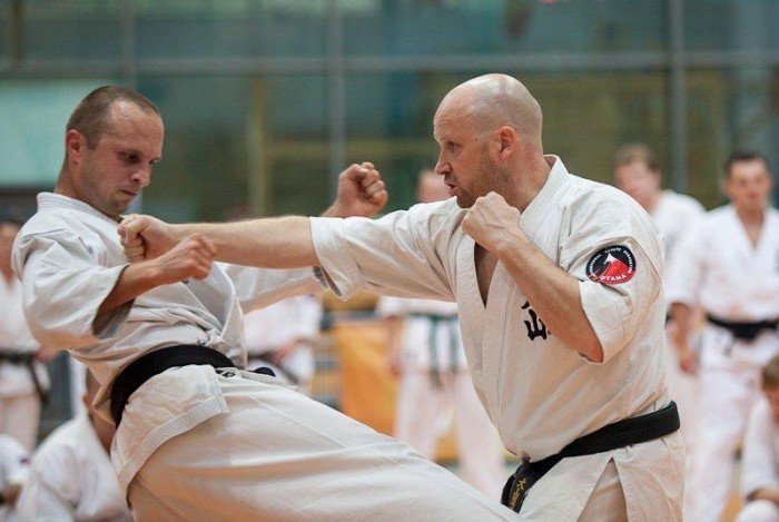 ogolnopolskie-seminarium-szkoleniowe-oyama-karate-rafa-majda-wyrozniony-42771