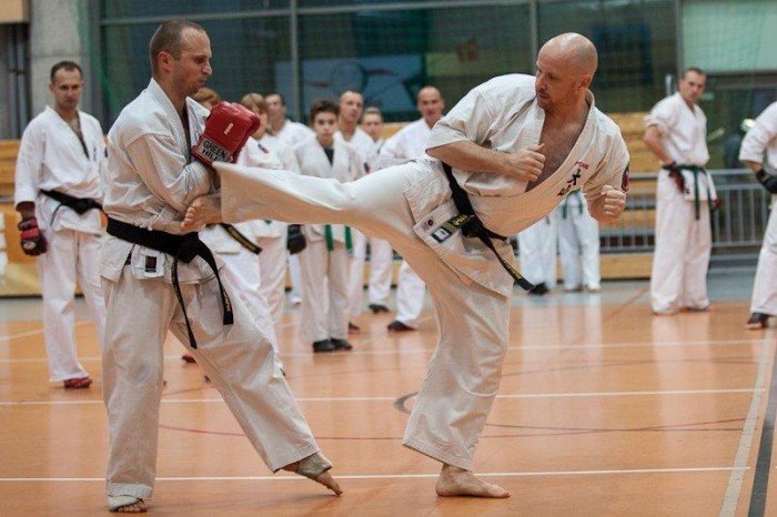 ogolnopolskie-seminarium-szkoleniowe-oyama-karate-rafa-majda-wyrozniony-42771