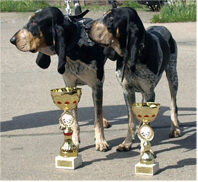 jeleniogorskie-goncze-gaskonskie-mistrzami-polski-foto-42785