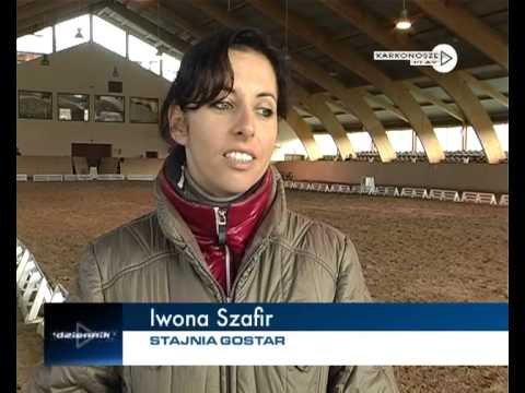 dziennik-2012-11-05-42927