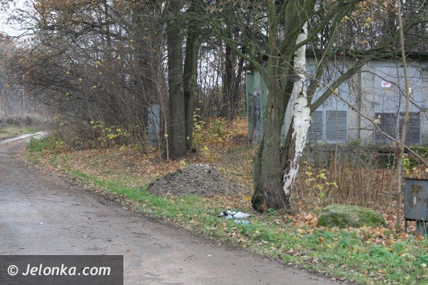 kto-wywozi-gruz-nieopodal-ul-widok-w-cieplicach-foto-43010