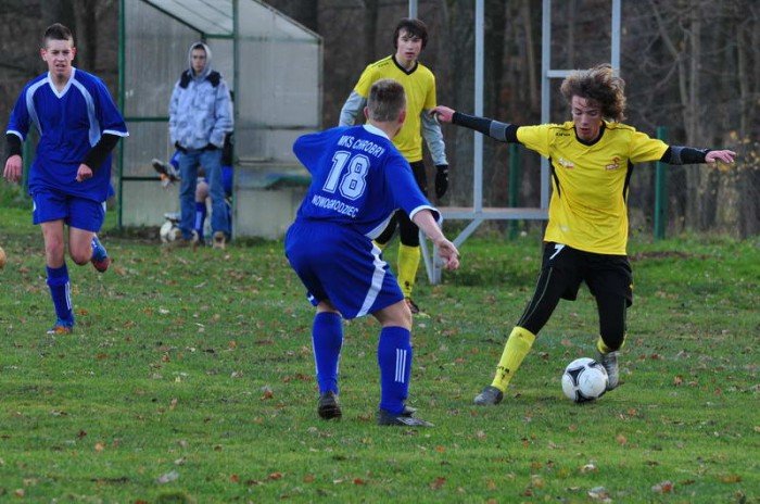 chrobry-odesany-z-kwitkiem-foto-43020