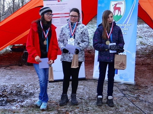 chojnik-zdobyty-foto-43173