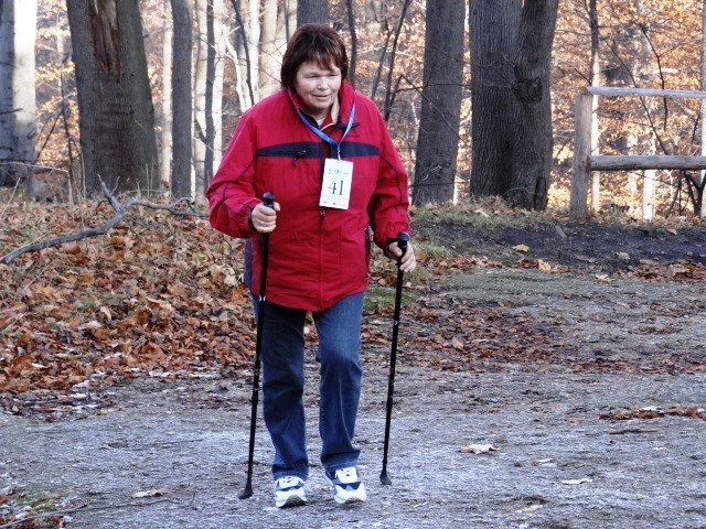 chojnik-zdobyty-foto-43173