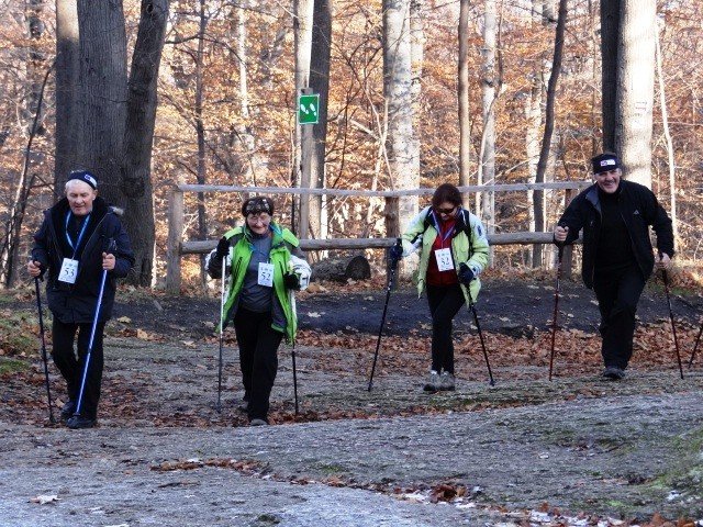 chojnik-zdobyty-foto-43173