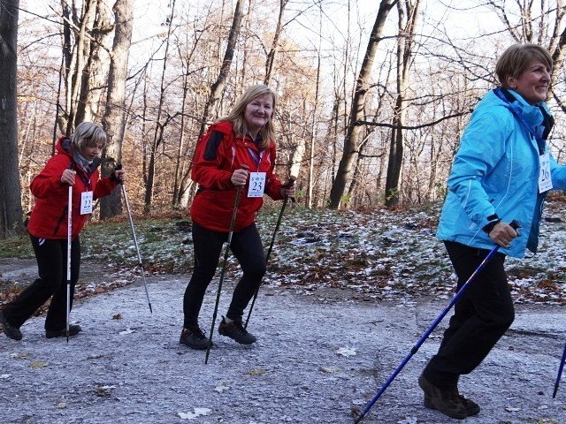 chojnik-zdobyty-foto-43173