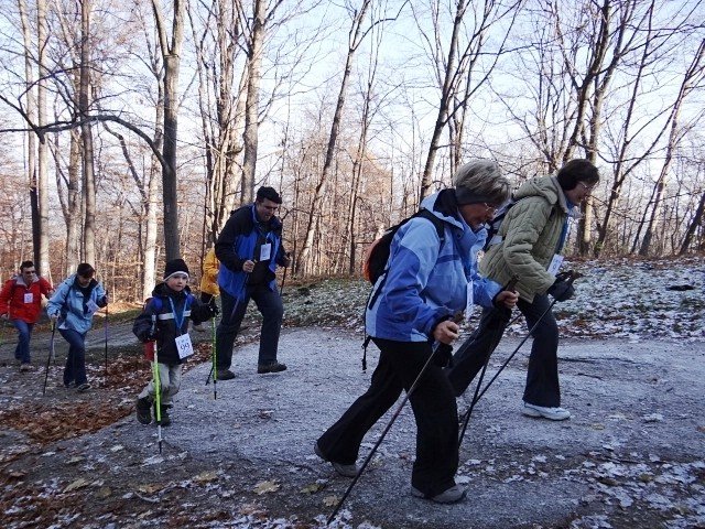chojnik-zdobyty-foto-43173