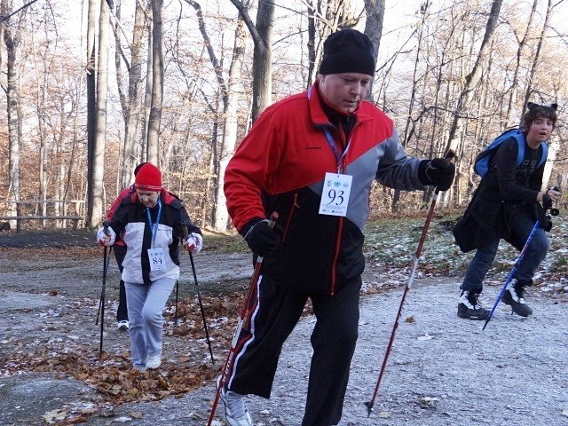 chojnik-zdobyty-foto-43173