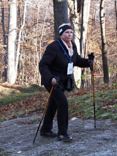 chojnik-zdobyty-foto-43173