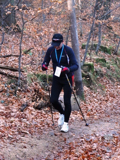 chojnik-zdobyty-foto-43173