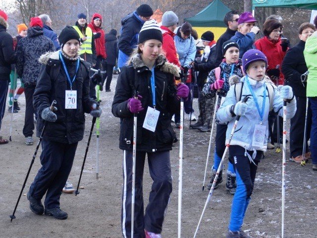 chojnik-zdobyty-foto-43173