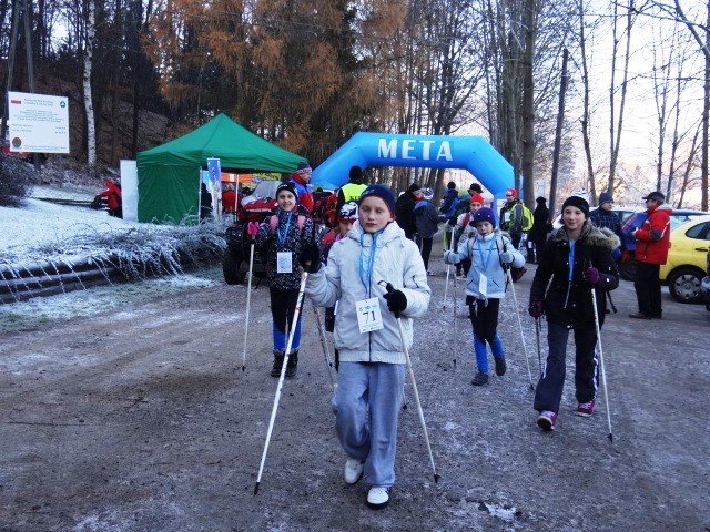 chojnik-zdobyty-foto-43173