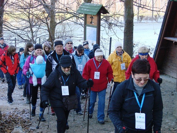 chojnik-zdobyty-foto-43173