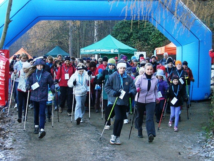 chojnik-zdobyty-foto-43173