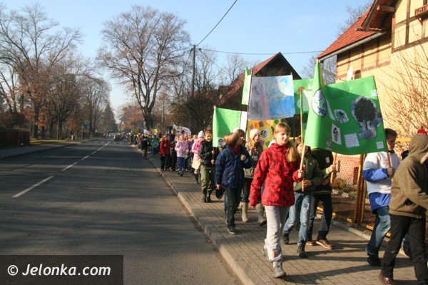 dzieci-day-dzis-w-cieplicach-ekologiczna-lekcje-dorosym-foto-43206