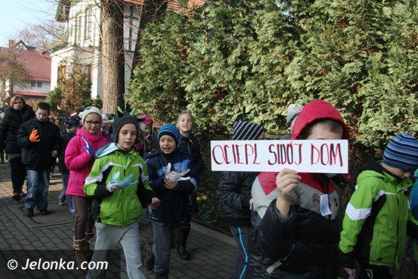 dzieci-day-dzis-w-cieplicach-ekologiczna-lekcje-dorosym-foto-43206