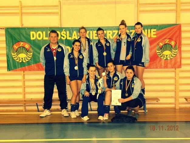 sokoliki-drugie-w-witoszowie-dolnym-43217