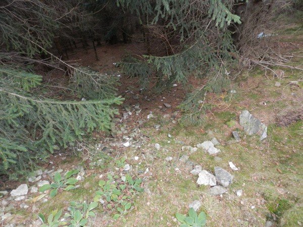 pozegnano-sonce-w-budnikach-na-113-dni-foto-43316