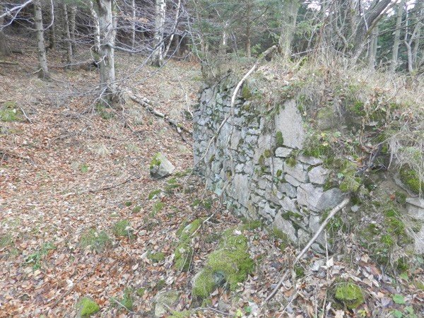 pozegnano-sonce-w-budnikach-na-113-dni-foto-43316