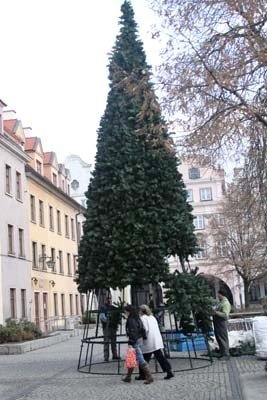 w-miescie-powiao-bozonarodzeniowo-foto-43326