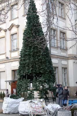 w-miescie-powiao-bozonarodzeniowo-foto-43326
